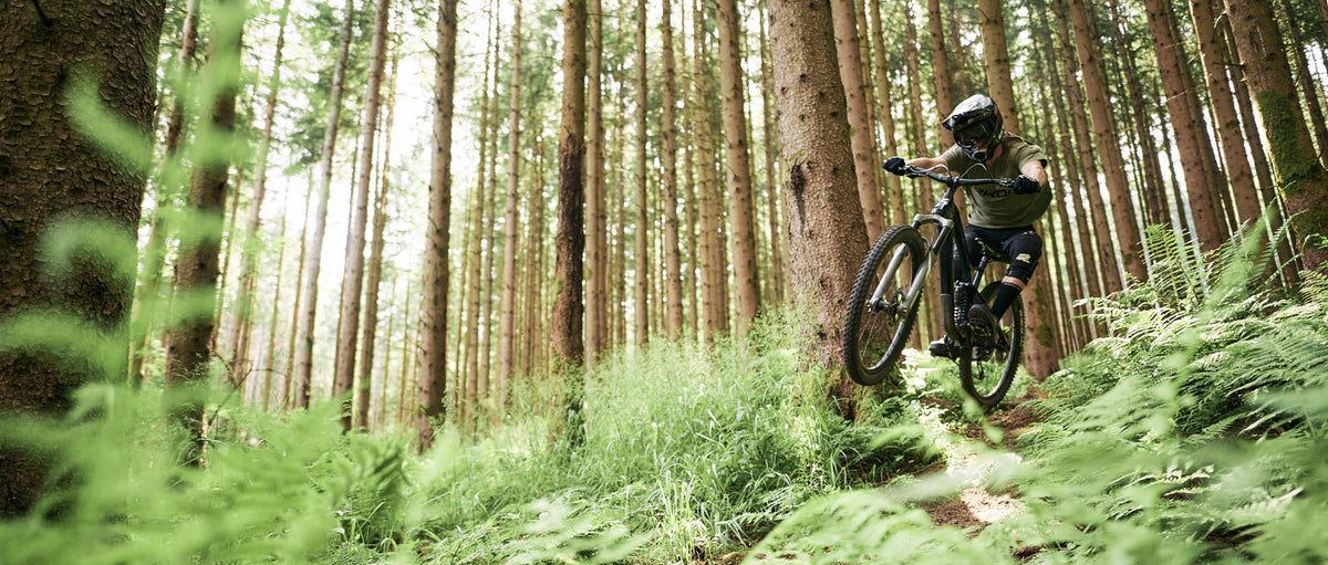 ALL MOUNTAIN BIKES FOR SALE visual data 4