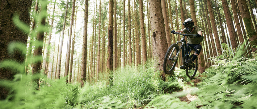 ALL MOUNTAIN BICYCLE visual data 8